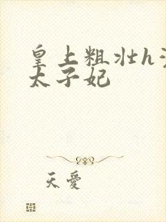 皇上粗壮h灌满太子妃