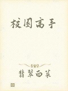 校园高手