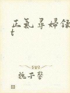 正气寻妇录txt