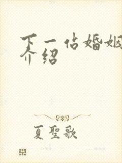 下一站婚姻剧情介绍