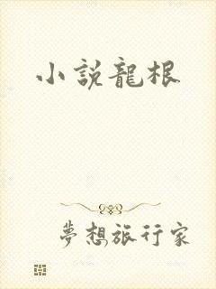 小说龙根