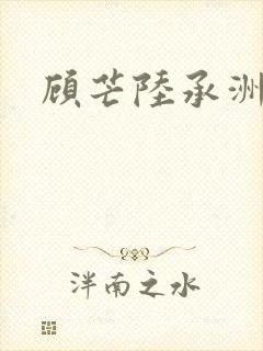 顾芒陆承洲