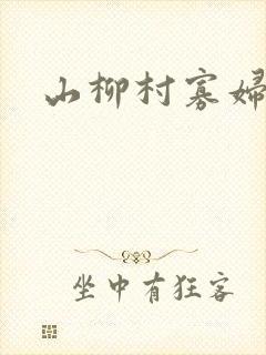 山柳村寡妇情史