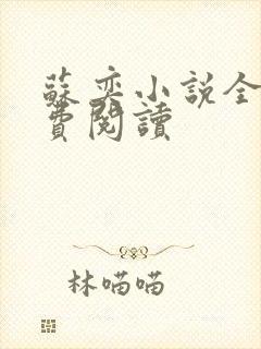 苏奕小说全文免费阅读