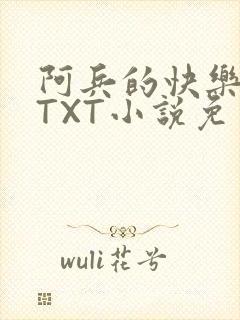 阿兵的快乐生活TXT小说免费阅读全章