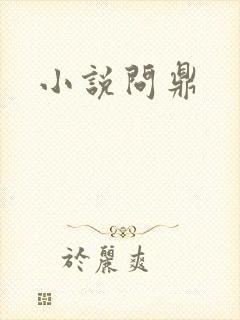 小说问鼎