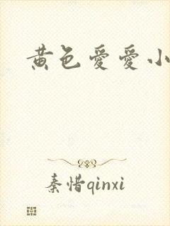 黄色爱爱小说封面