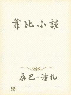 靠比小说封面