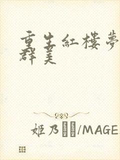重生红楼梦之御群美