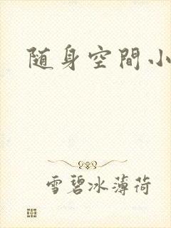 随身空间小说