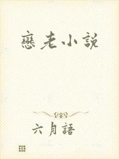 恋老小说