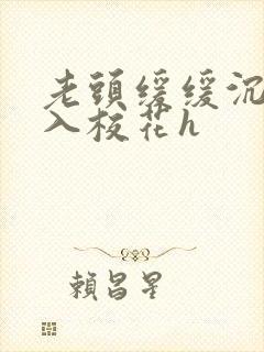 老头缓缓沉腰进入校花h