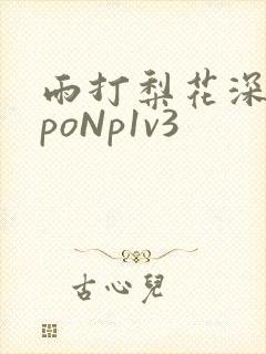 雨打梨花深闭门poNp1v3封面