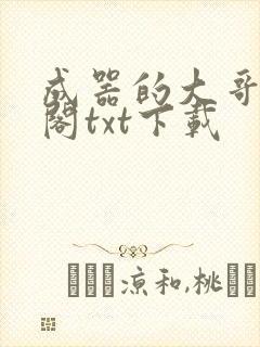 成器的大哥笔趣阁txt下载
