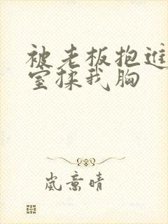 被老板抱进办公室揉我胸