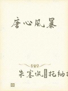 唐心风暴