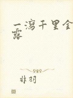 一泻千里金银花露封面