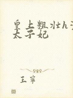 皇上粗壮h灌满太子妃封面
