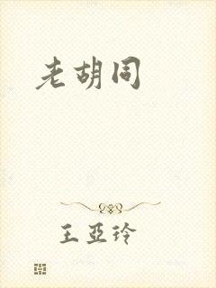 老胡同