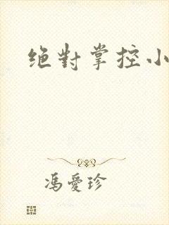 绝对掌控小说封面