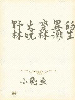 野火变异的父爱林晚林潮生