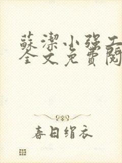 苏洁小强工地情全文免费阅读