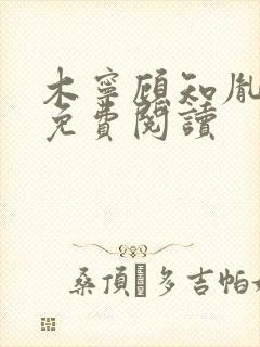 木宁顾知胤小说免费阅读