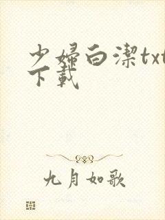 少妇白洁txt下载封面