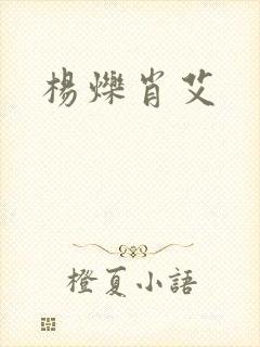 杨烁肖艾封面