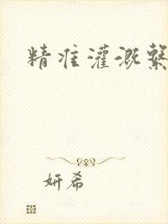 精准灌溉系统