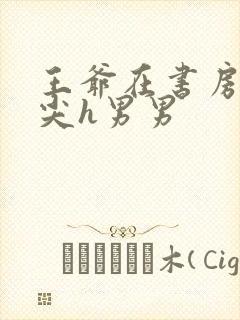 王爷在书房含乳尖h男男