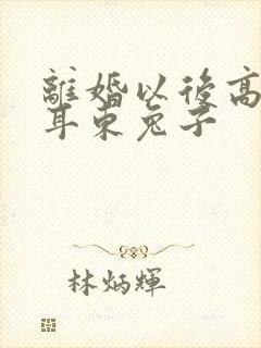 离婚以后高干 耳东兔子封面