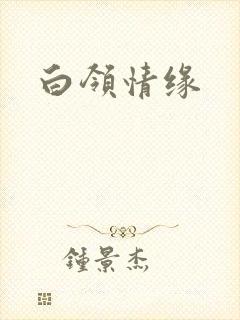 白领情缘
