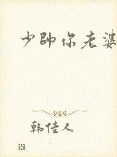 少帅你老婆