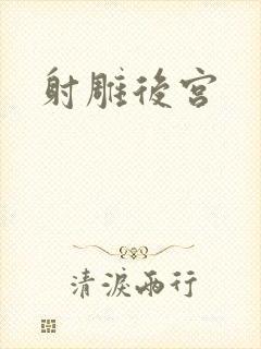 射雕后宫