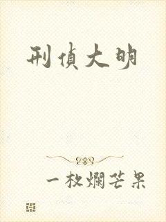 刑侦大明