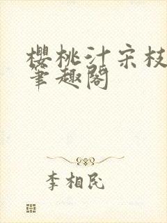 樱桃汁宋枝江野笔趣阁封面