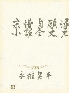 宋惜月顾浔渊的小说全文免费阅读封面