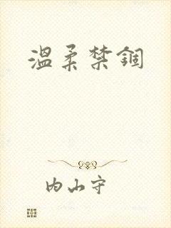 温柔禁锢封面