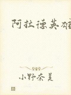 阿拉德英雄传封面