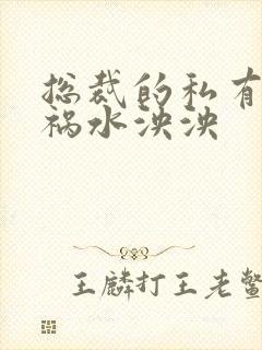 总裁的私有宝贝祸水泱泱封面