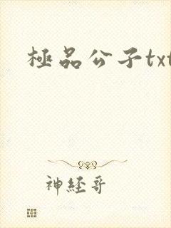 极品公子txt