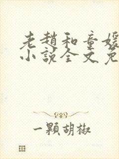 老赵和童媛媛的小说全文免费阅读