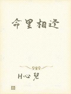 命里相逢