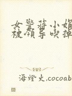 女警蒋小娟的奶被领导吃掉了封面