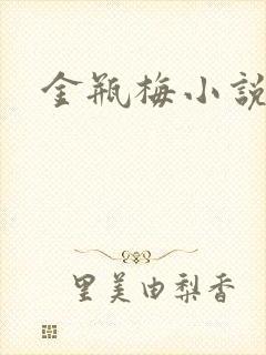 金瓶梅小说