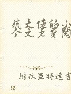 疯大佬的小玩物全文免费阅读小说