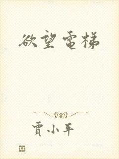 欲望电梯