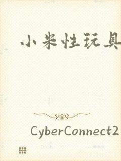 小米性玩具日记