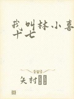 我叫林小喜今年十七